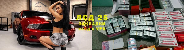 ALPHA-PVP Новозыбков