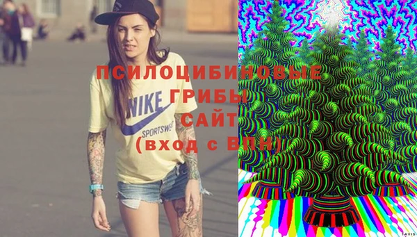 ALPHA-PVP Новозыбков