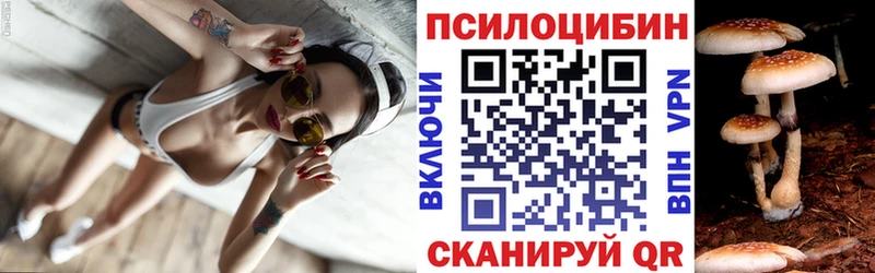 блэк спрут как войти  Ярцево  Галлюциногенные грибы мухоморы 