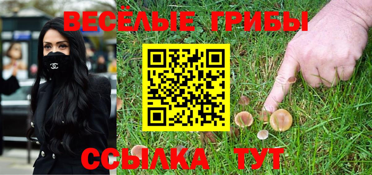 Псилоцибиновые грибы мицелий Ярцево