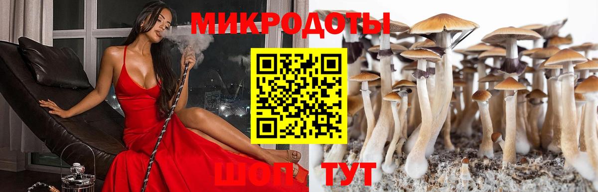 Галлюциногенные грибы Magic Shrooms  Вход с VPN  Галлюциногенные грибы MAGIC MUSHROOMS  Ярцево 